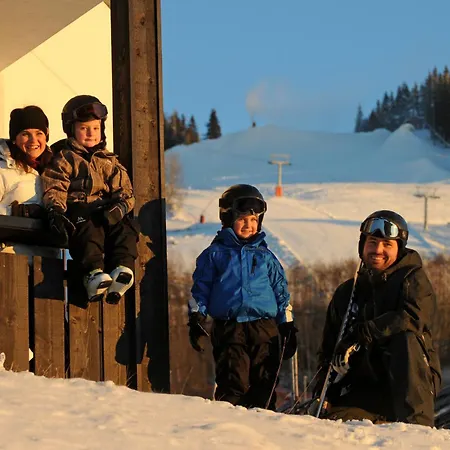 Апарт-отель Alpin Solsiden 4*