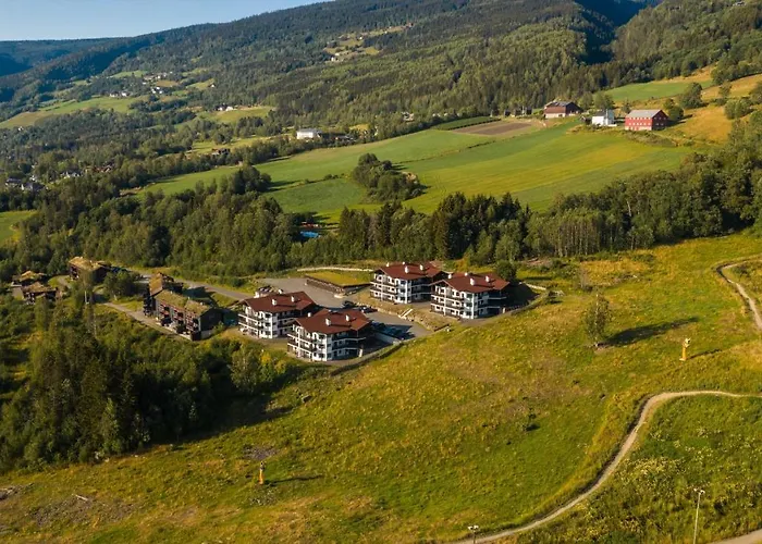 Apartahotel Alpin Solsiden