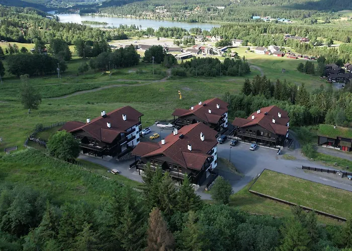 Alpin Solsiden Apartahotel