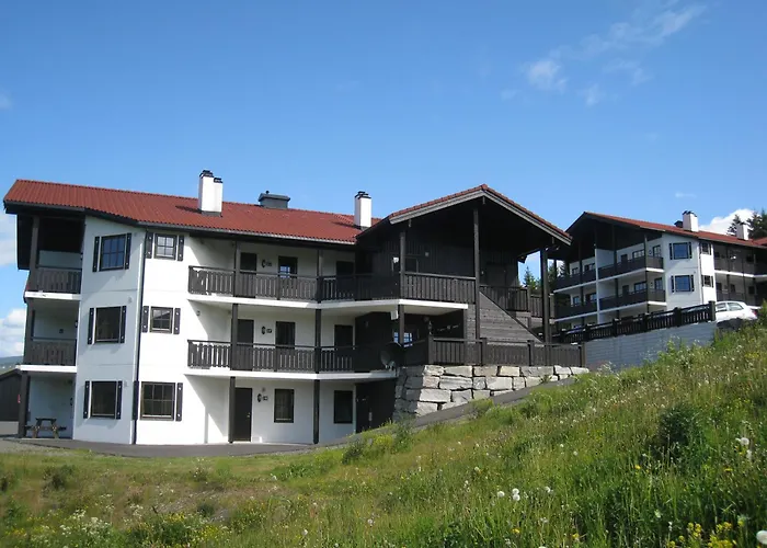 Apartahotel Alpin Solsiden