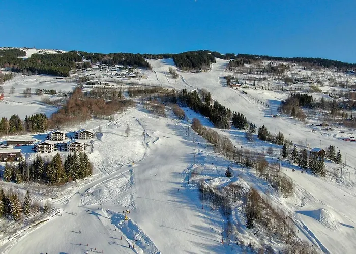 Apartahotel Alpin Solsiden